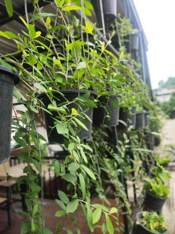 치앙마이 Nai Wiang Poshtel 호스텔 외부 사진